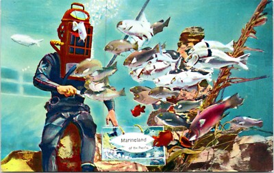 Scuba Diver Feeding Fish artist rendering Marineland California Postcard