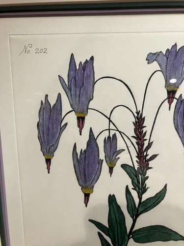 DAN MITRA LTD. ED. HAND MADE/COLORED IN WATER COLOR, ETCHING “SHOOTING STAR” - 第 5/11 張圖片