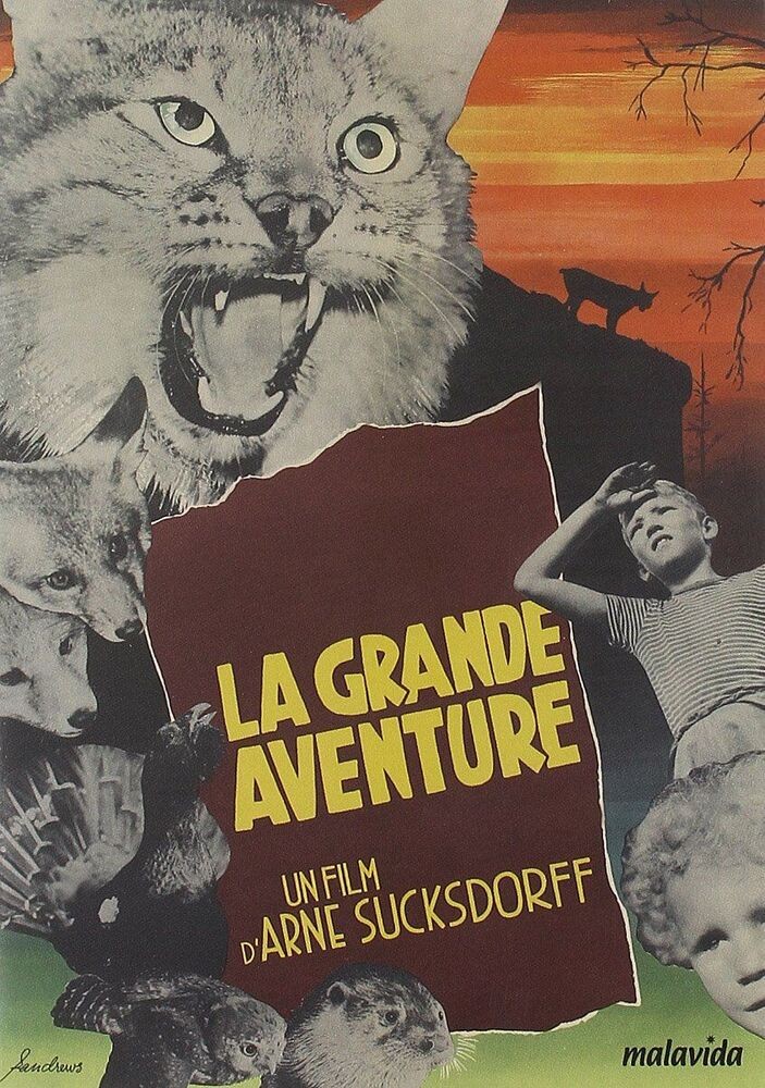 The Great Adventure [FR IMPORT] - New In Blister | Sucksdorff Arne | New
