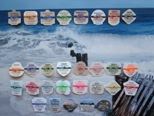 29  YEAR COLLECTION  MANASQUAN  NEW  JERSEY  SEASONAL   BEACH  BADGES/TAGS