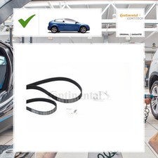 Continental Ctam Keilrippenriemensatz FORD FOCUS II (DA_, HCP, DP) 1.6 Ti