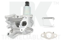 Agr Ventil Nk 4539001 FüR Renault ScÉNic 2 JM0 Laguna KG0 Megane LM0 KM0 BG0 BM0