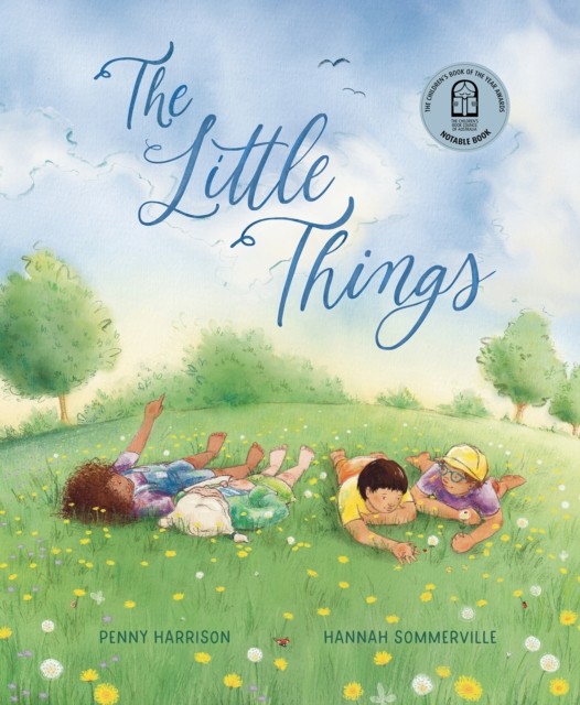 The Little Things by Penny Harrison (Hardback Book)