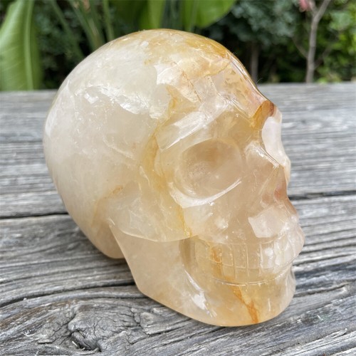 3,2 Pfund 4,5 Zoll natürlicher goldener Heiler Schädel Figur Dekor Kristall Quarz Reiki C1 - Bild 6 von 12