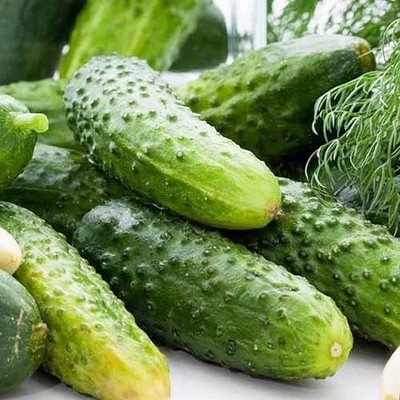 Gurkensamen Allians F1 frühe parthenokarpische Gurke weltweiter Versand