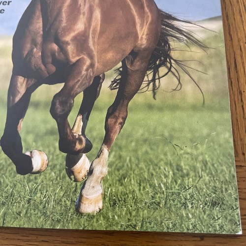 Life Horses The Worlds Most Beautiful Animal 2024 The Human - Horse Bond - Picture 4 of 8