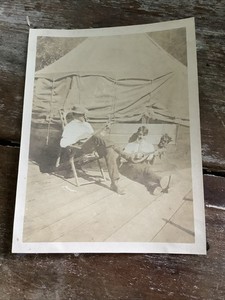Vintage 1900s Photograph Men Playing Stringed Instruments Banjo ? Photo Antique