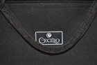 Cecilio Bb Silver Trumpet With Case & Mouthpiece — photo 8