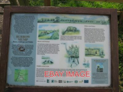 FOTO BURROW MUMP INFORMATIONSTAFEL 2017