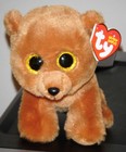 Bild 8 von 8