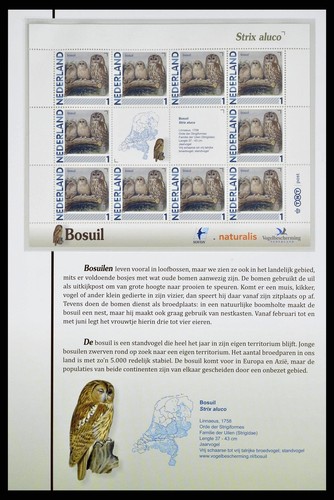 NETHERLANDS 74 Sheets MNH Dutch BIRDS Fauna Topical Stamp Collection - 第 7/12 張圖片