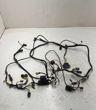 96 1996 Ski Doo Skandic 500 Rotax 500 OEM GOOD! Main Wiring Harness ECU CDI
