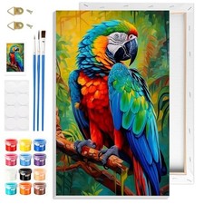 Framed Birds Paint by Numbers Kits for Adults Beginners DIY Home Art Decor Set