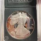 2007-W 1 oz Proof Silver American Eagle With Toning
