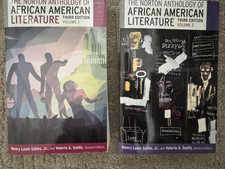 Norton Anthology of African American Literatu...