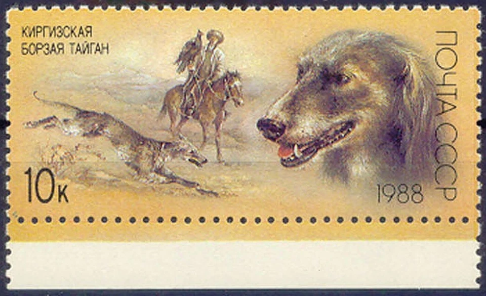 Unión Soviética 1988 10 K. Galgo Kirguís Excelente U/M Variedad FALTA COLOR Foto 2 de 3
