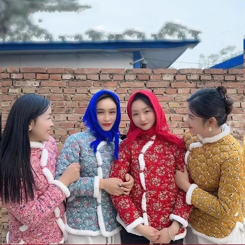 Cheongsam Baumwolljacke chinesischer Stil Blume wattierter Mantel weibliche Neujahrskleidung