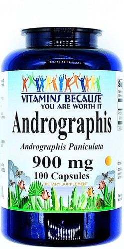 900mg Andrographis Paniculata Leaf 100 Capsules - Picture 1 of 2