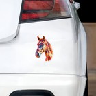 Foto 3 di 6