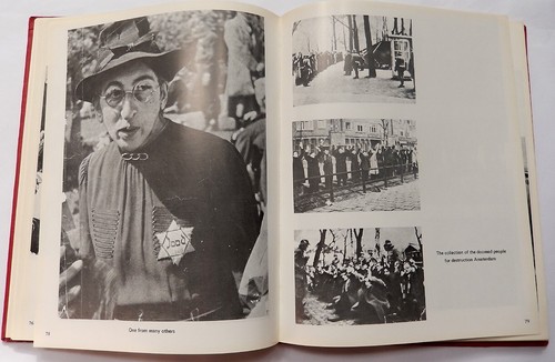 DIE TREBLINKA HÖLLE; FOTOALBUM HOLOCAUST BUCH VASSILY GROSSMAN - Bild 8 von 19
