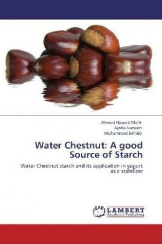 Thumbnail - Water Chestnut: A Good Source Of Starch Water Chestnut Starch And Its