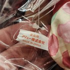 Sanrio Little Forrest Fellow Plush — photo 9