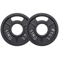 Cast Iron Weight Plates Olympic 2 Inch Strength Training Home Gym Set 2.5lb X 2