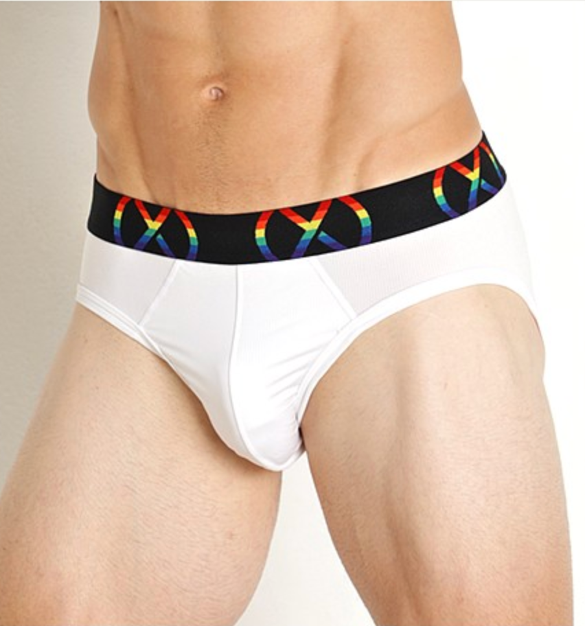 New 2(x)ist (X) Mens White Pride Sport Mesh Brief Underwear sz L