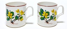 Villeroy & Boch Luxemburg Porzellan - 2 St.Set Kaffeetasse - Botanica Dekor