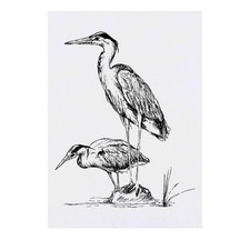 'Heron Birds' Temporary Tattoos / Transfers TO00022733 