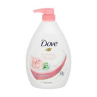 Dove Go Fresh Soothing Pink Body Wash and Aloe Vera, 33.8 Ounce Pump Bottle. 1 L