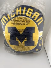 The Northwest Company NCAA Michigan Wolverines Round Cloud Pillow, 15”