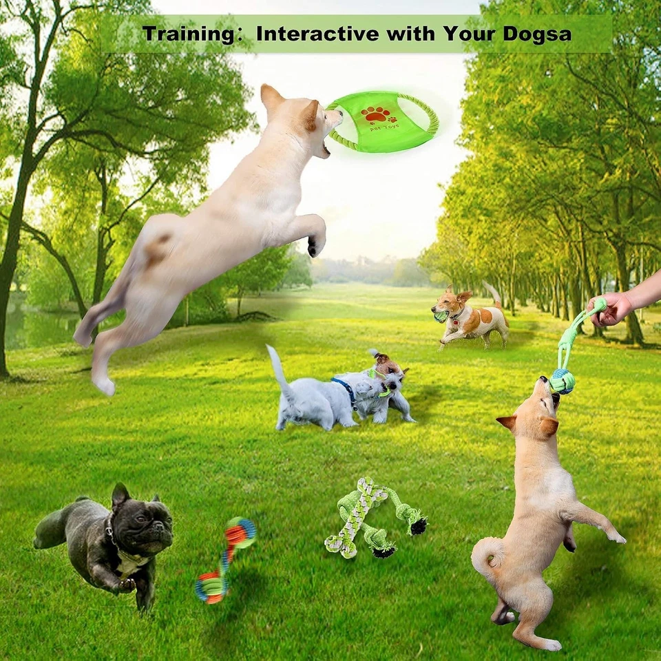 Giochi per Cani, 6 pezzi Giochi Interattivi per Cani Corda Cane Giochi per Cani - Immagine 4 di 4