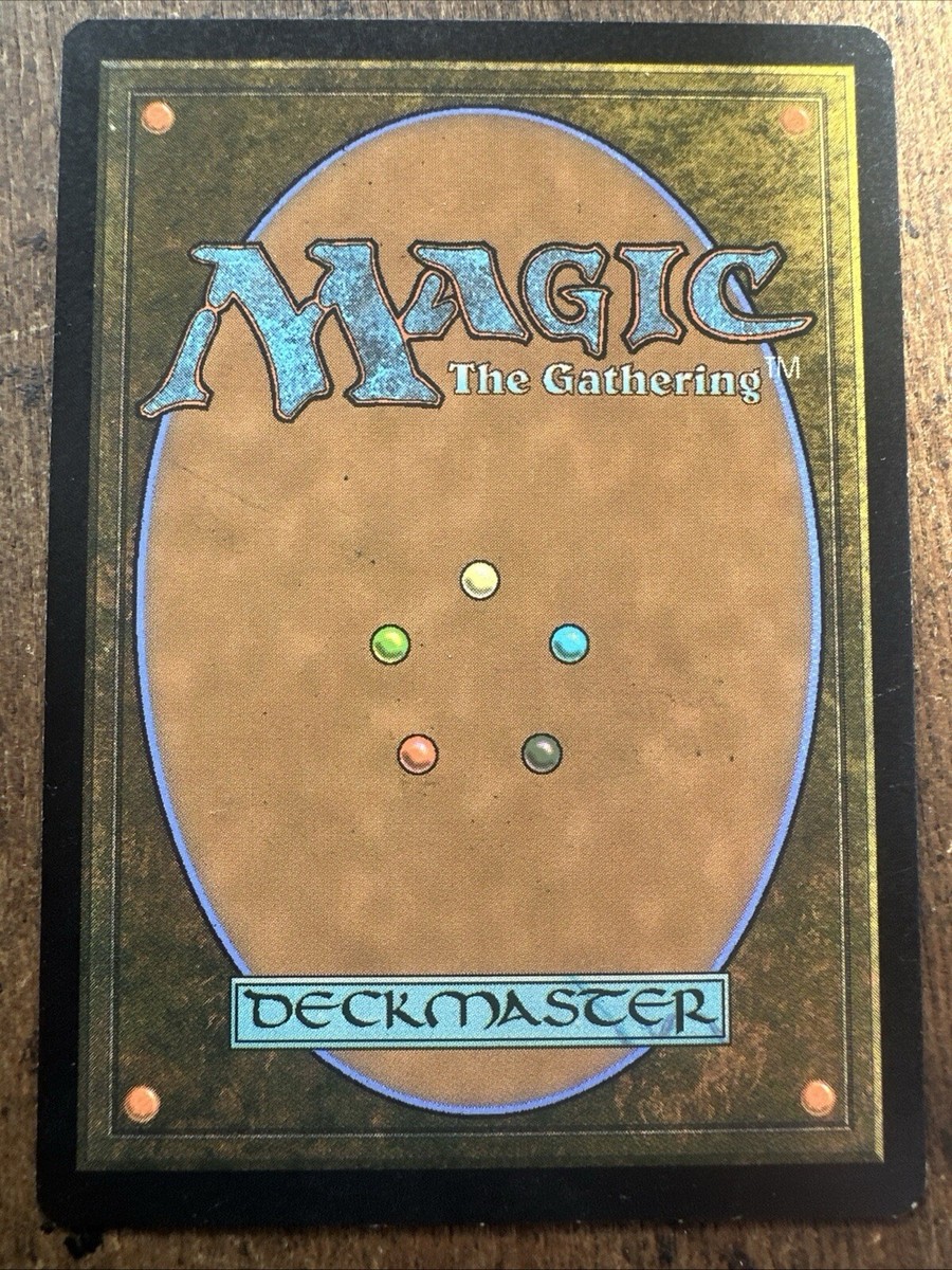 MTG Forest Full Art NM/M* Wilds Of Eldraine ENGLISH 0266 Magic The