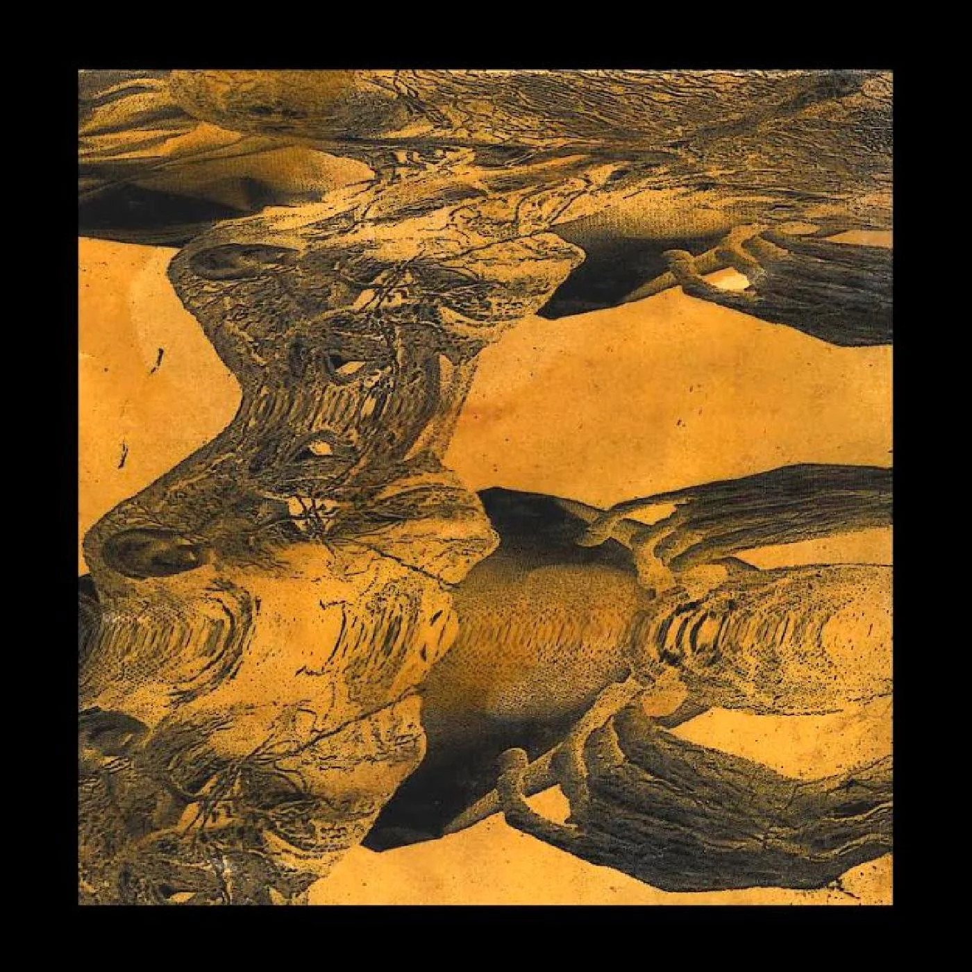 Таши Дорджи - НОВЫЙ запечатанный виниловый альбом Таши Дорджи