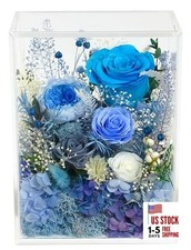 Long-Lasting Real Flowers, Handcrafted Preserved Rose Bush For you Blue Rose