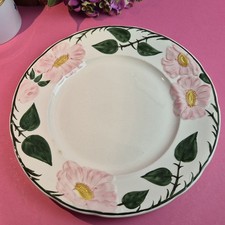 K3) Villeroy & Boch Wild- Rose Speise- Ess- Teller Ø 26,5cm