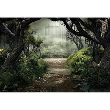 Dark Medieval Enchanted Forest Castle Photo Studio Backdrop Prop 10x6.5 FT