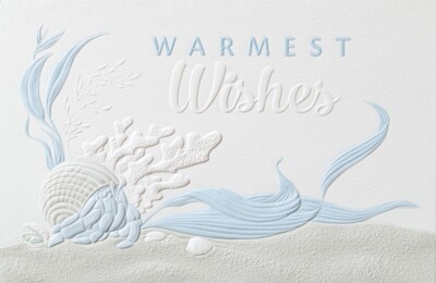 16 Embossed Boxed Christmas Cards Curious Hermit Crab 