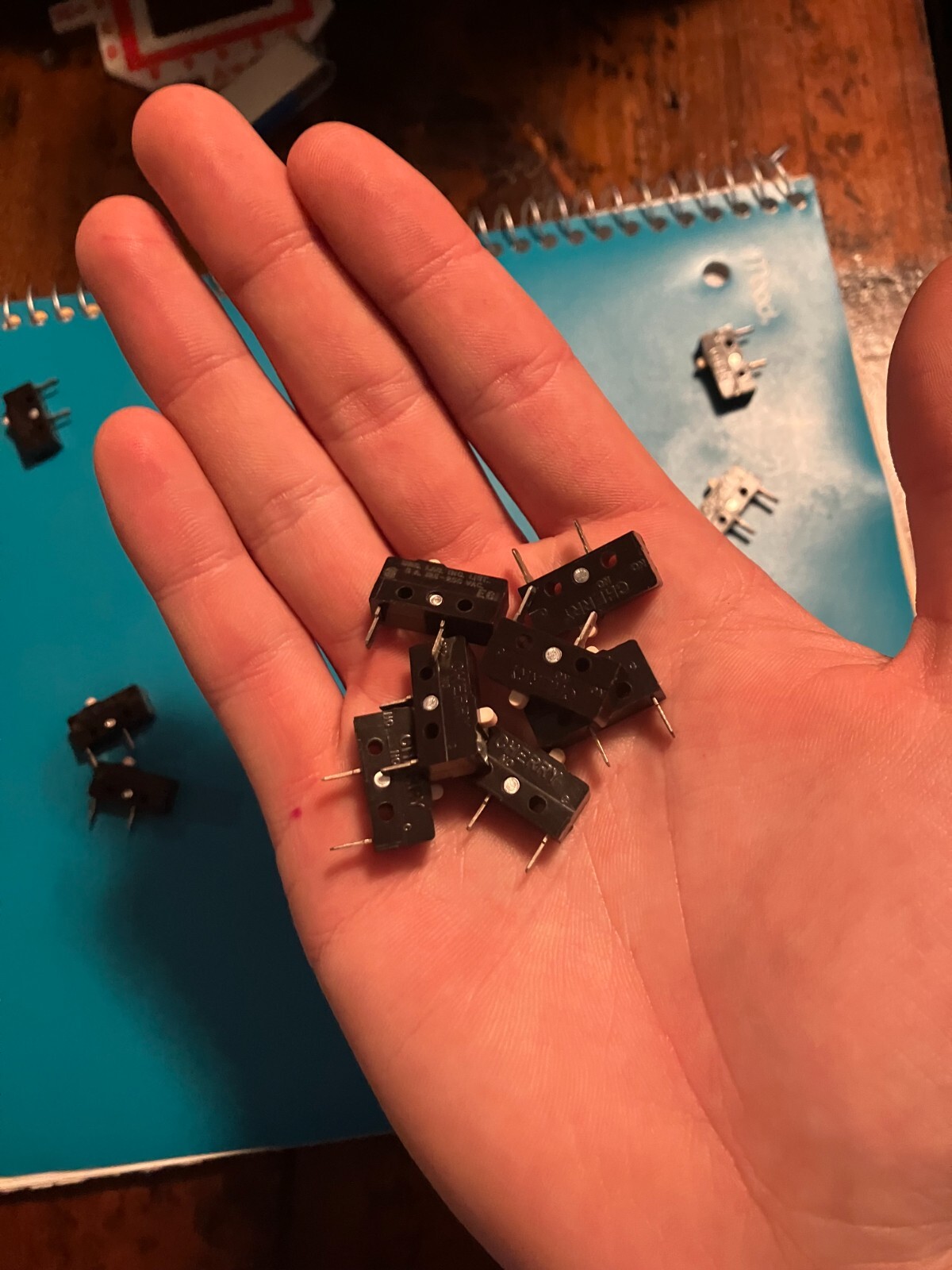 Micro Limit Switch, Cherry brand, 5A 125-250 VAC, E61