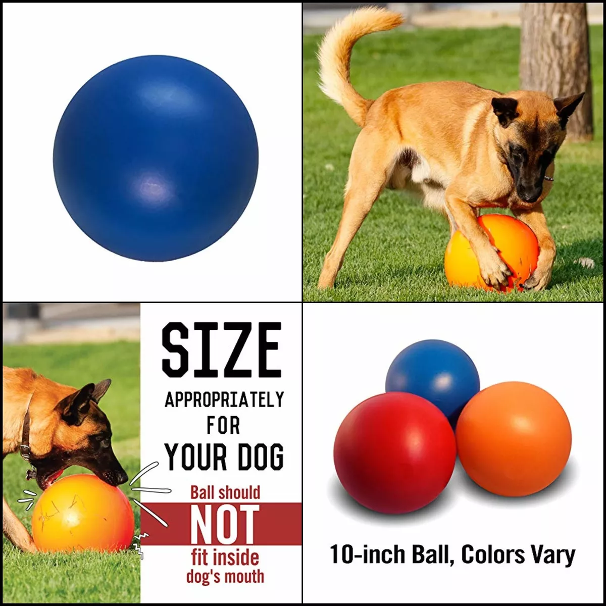 My dogs' Top Five Favorite Toys