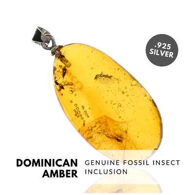 INSECTS - Natural Dominican Amber Pendant, Fossil Inclusion, Sterling Silver