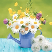 20 Servietten Garden Beauty Margeriten Pusteblumen Blumen Garten Kanne 33X33Cm
