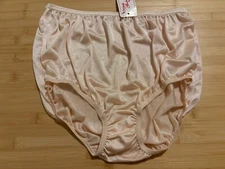 Intimate Fashions by Teri Sheer Nylon Brief Panties 331 Beige Size 7