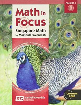 Math in Focus: Singapore Math: Student Edition Grade 6 Volume B 2012 - VERY GOOD