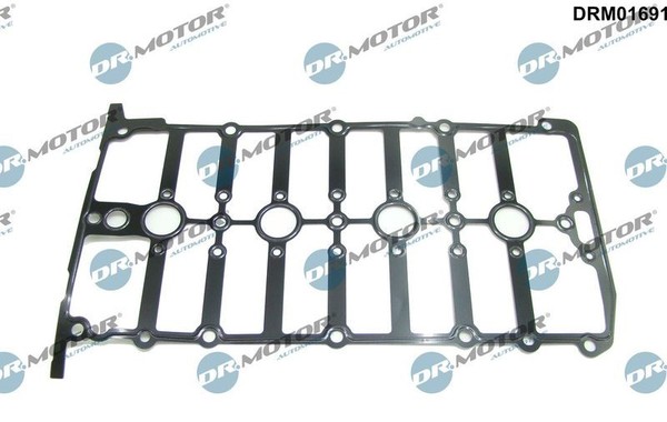 Dr.Motor Automotive Dichtung, Zylinderkopfhaube DRM01691 FüR Audi Cupra Seat-image