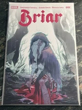 Briar #1 (BOOM! Studios 2022) Dark Fantasy - Sleeping Beauty - Indie - Mint!
