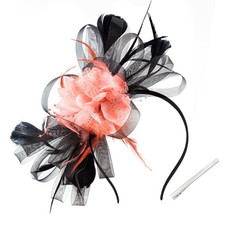 Women's Fascinators Feathers Mesh Ribbons Tea Party Hats with Headband and Cl...