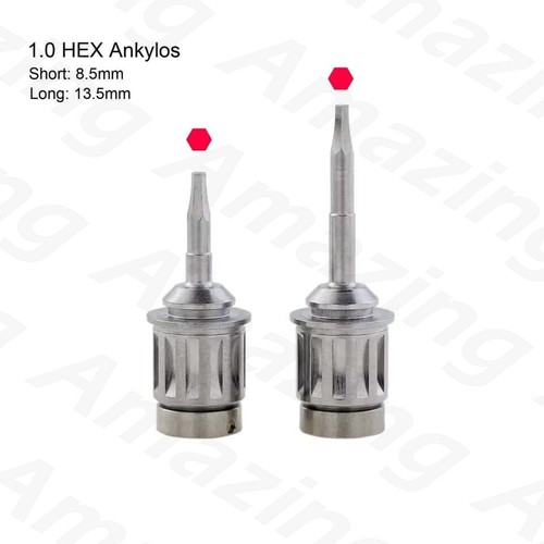 Destornillador dental 1,0 L/S pilar hexagonal destornillador trinquete par - Imagen 3 de 10