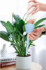 4 Plant Watering Spikes – Automatic Drip Irrigation System for Indoor & Outdoor